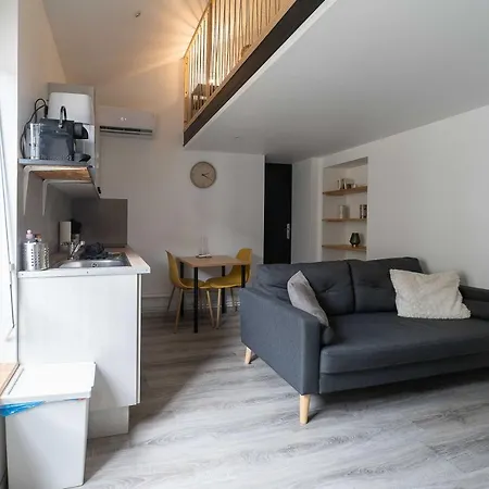 Residence Celest - Studios & Appartements Climatises En Centre Ville * Vichy