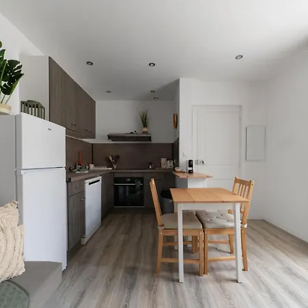 Apartment Le Celest - Climatises - Centre
