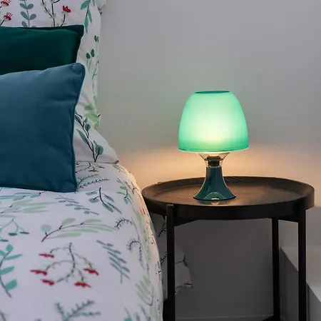 Le Celest - Climatises - Centre * Vichy