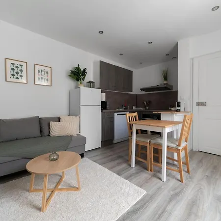 Apartamento Le Celest - Climatises - Centre