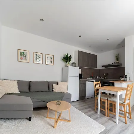 Residence Celest - Studios & Appartements Climatises En Centre Ville Apartment Vichy