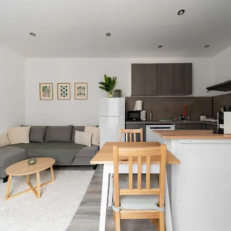 Apartment Residence Celest - Studios & Appartements Climatises En Centre Ville Vichy
