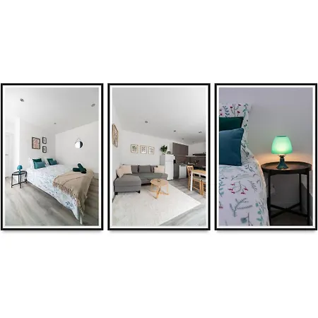 Apartment Residence Celest - Studios & Appartements Climatises En Centre Ville