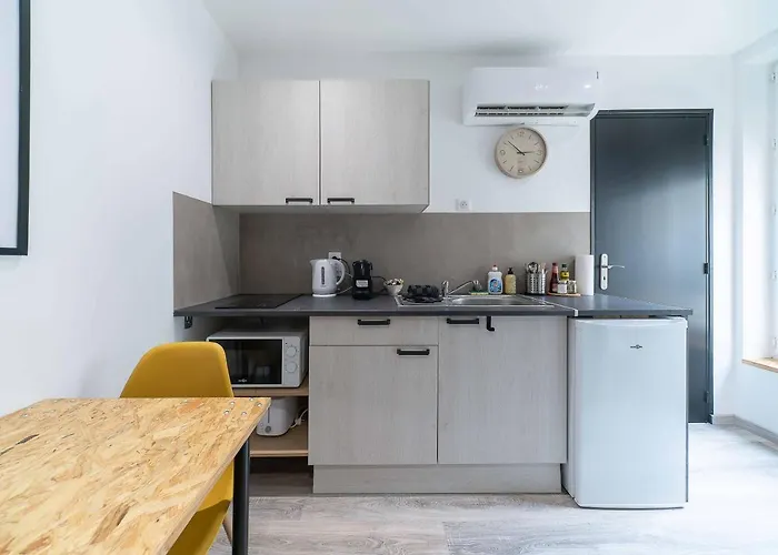 Appartement Le Celest - Climatises - Centre *