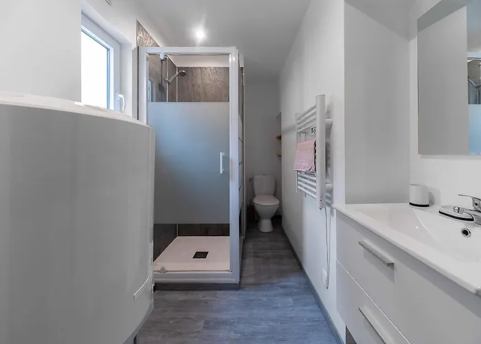 Le Celest - Climatises - Centre * Vichy