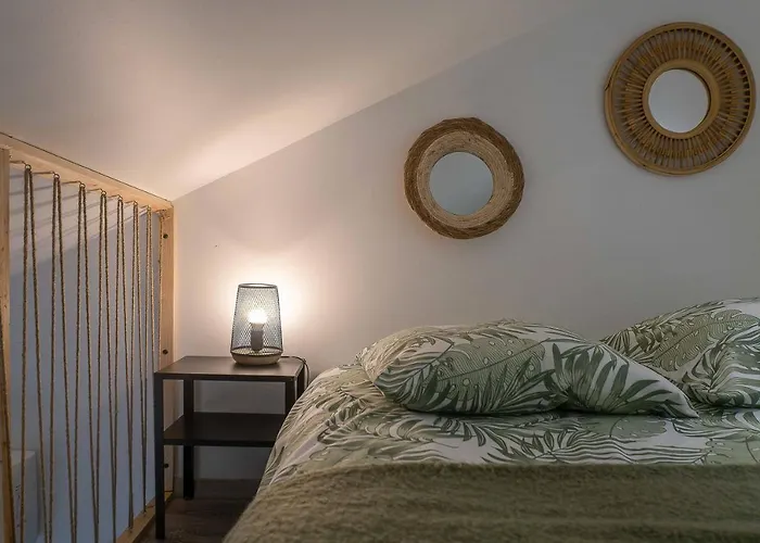 Appartement Le Celest - Climatises - Centre Vichy