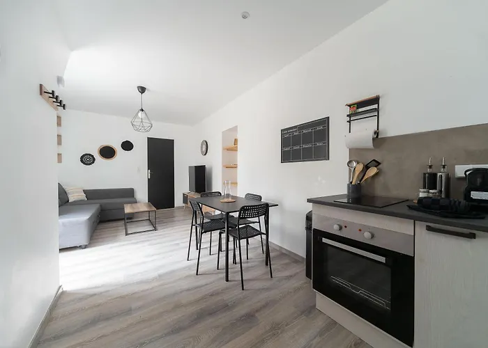 Appartement Le Celest - Climatises - Centre Vichy