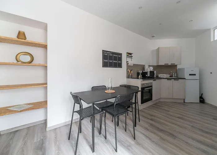 Le Celest - Climatises - Centre * Vichy