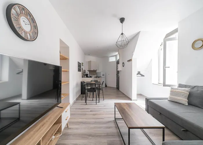 Le Celest - Climatises - Centre Vichy