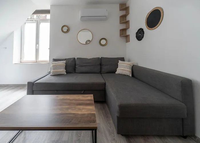 Appartement Le Celest - Climatises - Centre