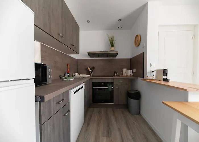 Le Celest - Climatises - Centre Vichy