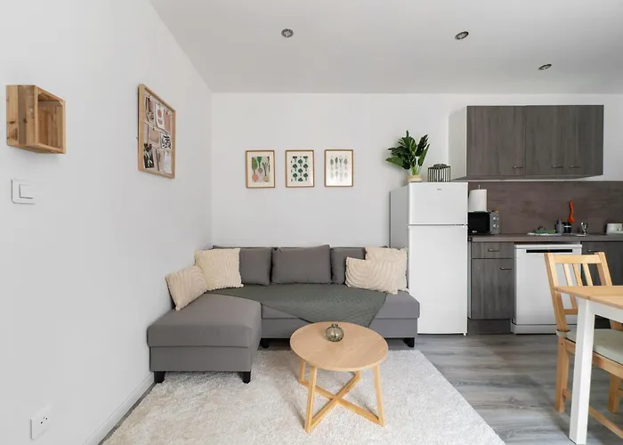 Le Celest - Climatises - Centre * Vichy