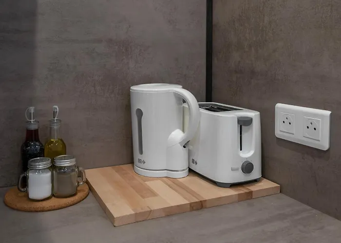 Le Celest - Climatises - Centre Appartement