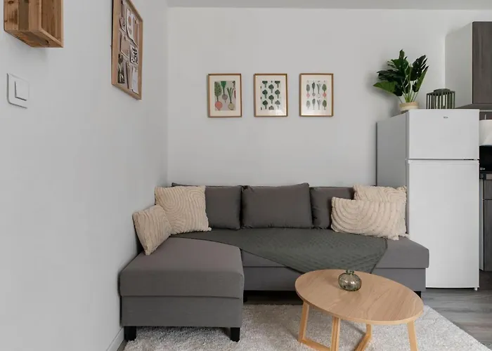 Le Celest - Climatises - Centre Vichy