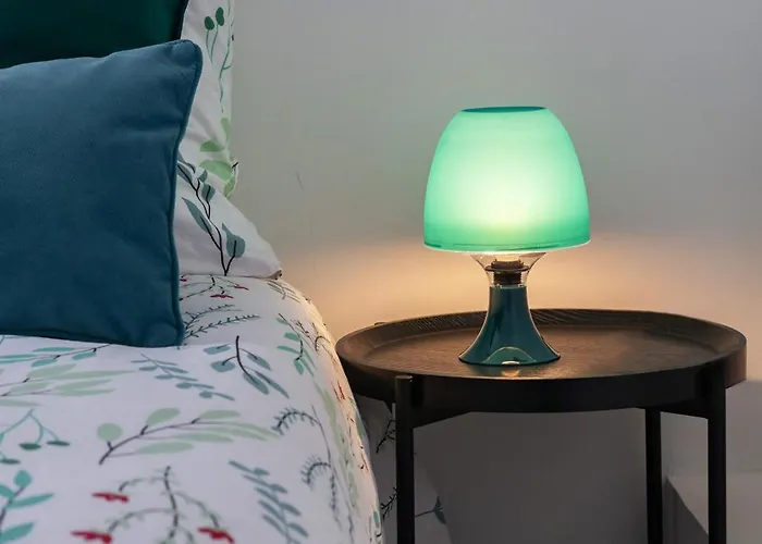 Le Celest - Climatises - Centre * Vichy