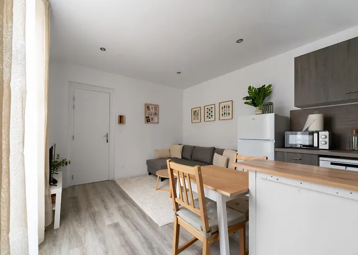 Le Celest - Climatises - Centre Appartement