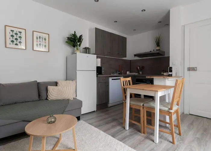 Appartement Le Celest - Climatises - Centre