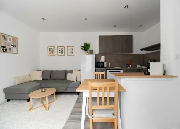 Appartement Le Celest - Climatises - Centre Vichy