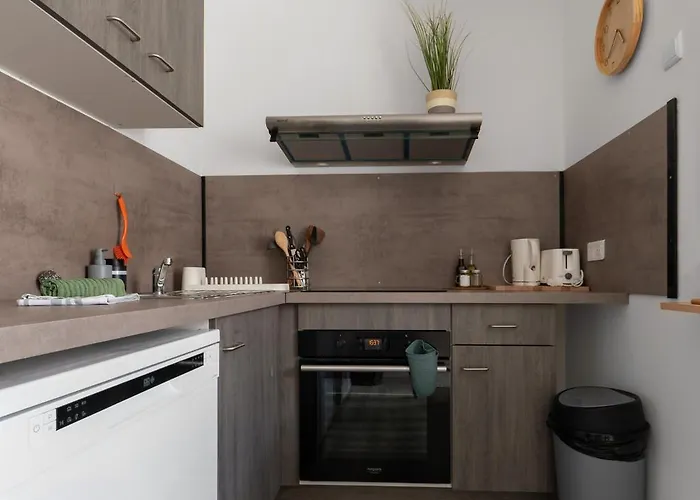 Le Celest - Climatises - Centre Vichy